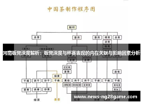河南板凳深度解析：板凳深度与杯赛表现的内在关联与影响因素分析