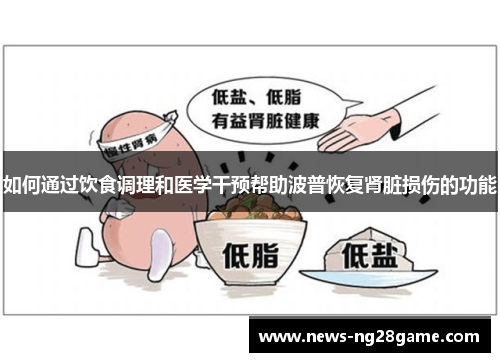 如何通过饮食调理和医学干预帮助波普恢复肾脏损伤的功能