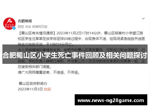 合肥蜀山区小学生死亡事件回顾及相关问题探讨