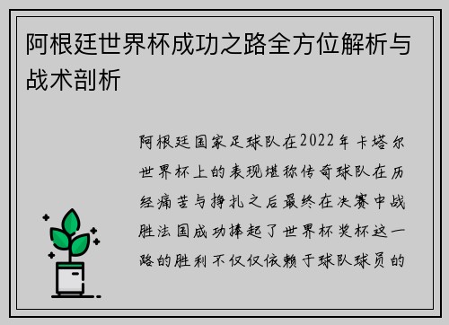 阿根廷世界杯成功之路全方位解析与战术剖析